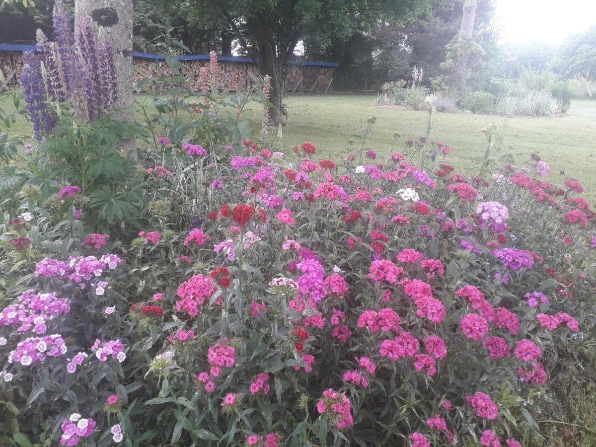 B&B Buddleja Saint-Hilaire-les-Places Εξωτερικό φωτογραφία